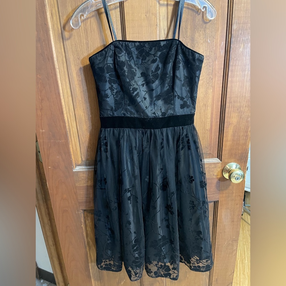 Alex Evenings Little Black Dress